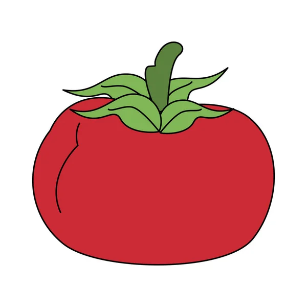 Tomate vegetal fresco — Vetor de Stock