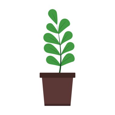 Tenceredeki bitki izole.