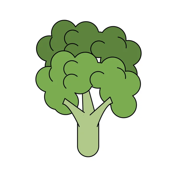 Brokuły świeże warzywa — Wektor stockowy