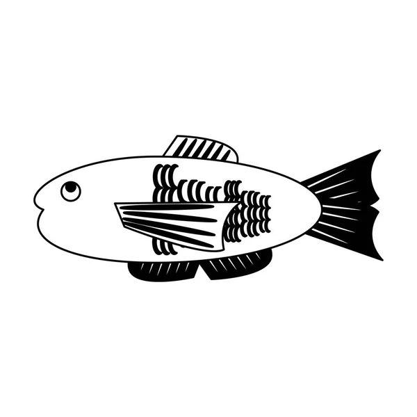 Fruits de mer isolés en noir et blanc — Image vectorielle