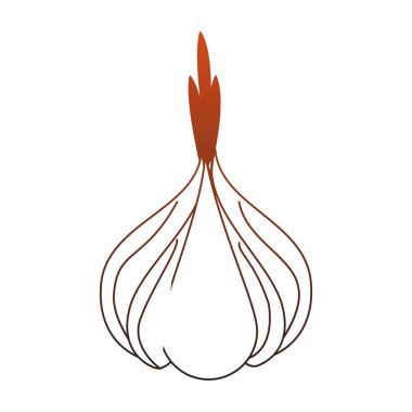 Sarımsak taze sebze kırmızı çizgiler