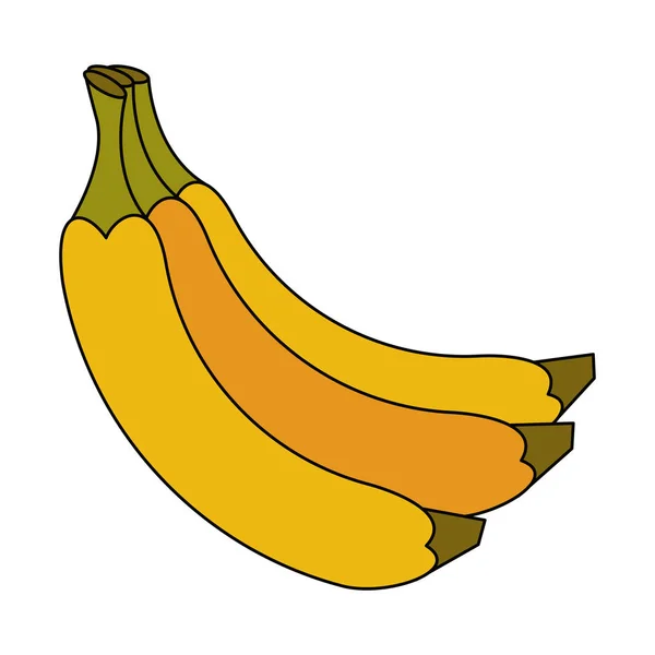 Bananas deliciosas frutas —  Vetores de Stock