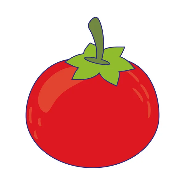 Legumes de tomate alimentos frescos linhas azuis — Vetor de Stock