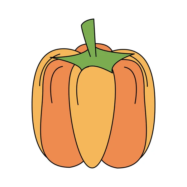 Calabaza vegetal fresco — Vector de stock