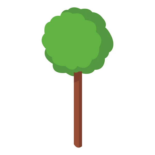 Naturaleza del árbol aislada — Vector de stock