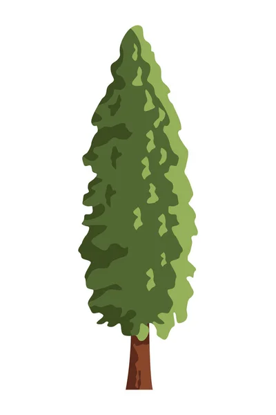 Träd ikon tecknad — Stock vektor