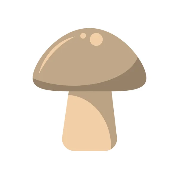 Champignon légumes frais — Image vectorielle