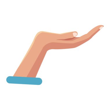 El palmiye açık izole