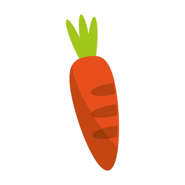 Zanahoria alimento vegetal símbolo — Vector de stock