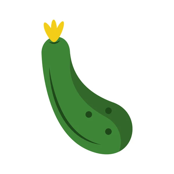 Courgettes légumes frais — Image vectorielle