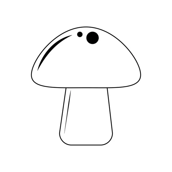 Mushroom fresh vegetable in black and white — Stock Vector