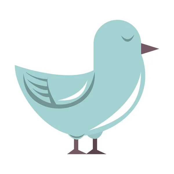 Colombe oiseau dessin animé isolé — Image vectorielle