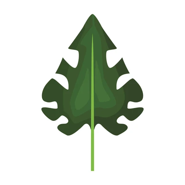 Φύλλα φύση κινουμένων σχεδίων — Διανυσματικό Αρχείο