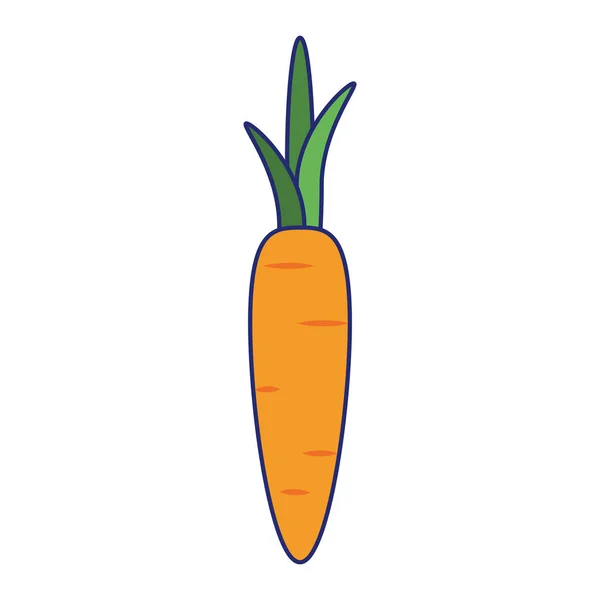 Zanahoria verduras frescas líneas azules — Vector de stock