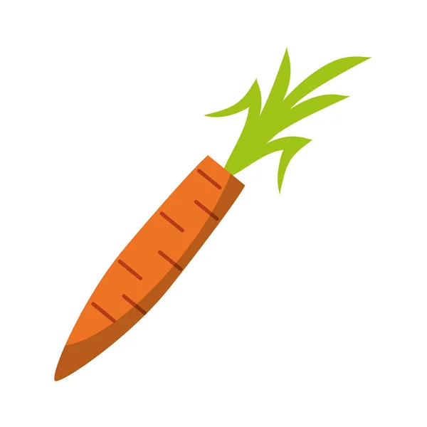 Zanahoria alimentos vegetales frescos — Vector de stock