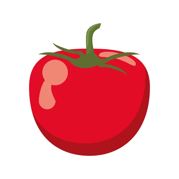 Alimento vegetal fresco de tomate — Archivo Imágenes Vectoriales