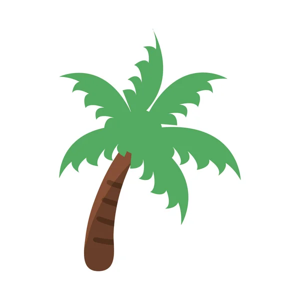 Plaj palmiye ağacı karikatür izole — Stok Vektör