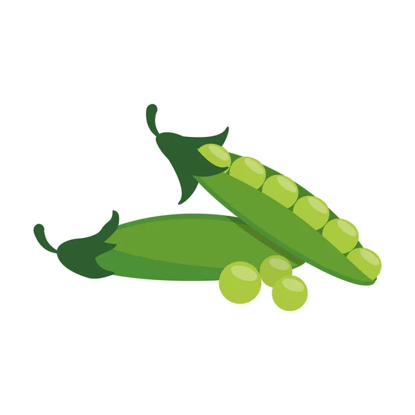 Vegetables peas healthy food — Stock Vector