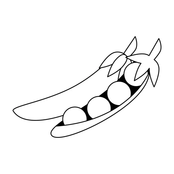 Légumes frais pois dessin animé en noir et blanc — Image vectorielle