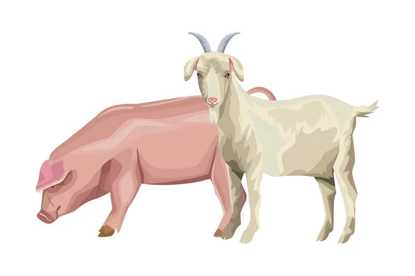 Cerdo y cabra — Vector de stock