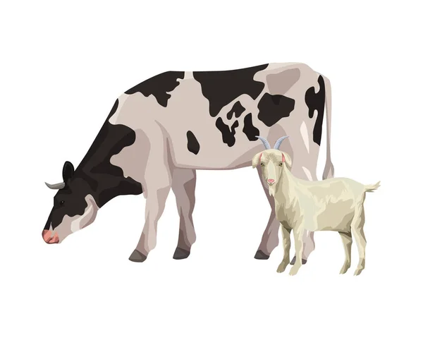 Vaca y cabra — Archivo Imágenes Vectoriales