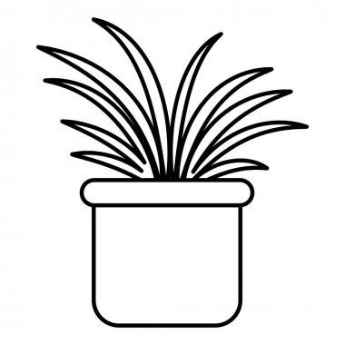 Plat pot siyah beyaz izole