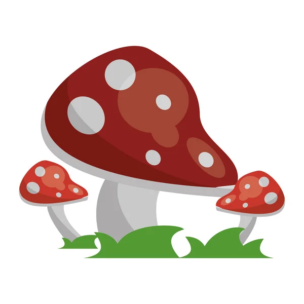 Rudé houby na trávě v kreslených — Stockový vektor
