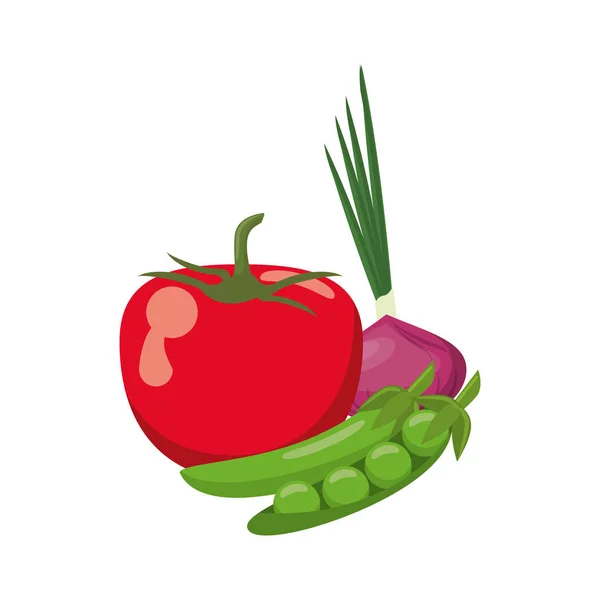 Légumes frais dessin animé — Image vectorielle