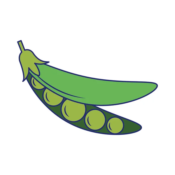 エンドウ豆の新鮮な野菜ブルーライン — ストックベクタ