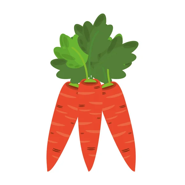 Sárgarépa friss zöldségek rajzfilm — Stock Vector