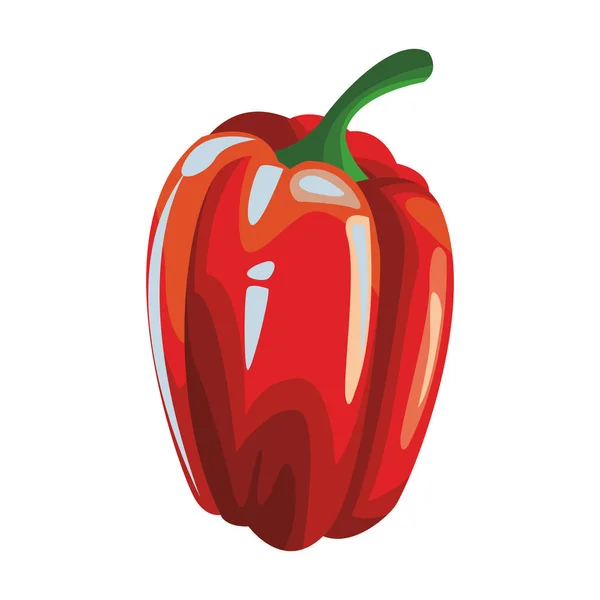 Paprika Gemüse isoliert — Stockvektor