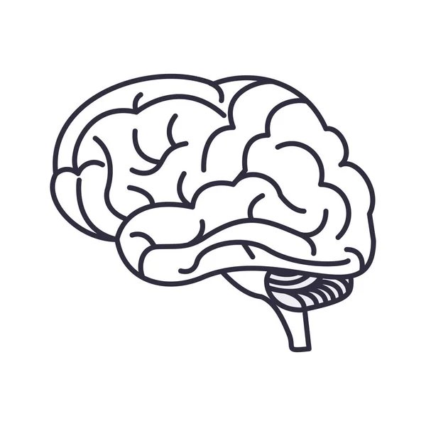 Símbolo cerebral humano — Vector de stock