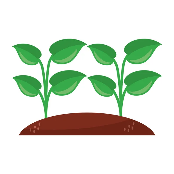 Bevetett növények kerti rajzfilm — Stock Vector