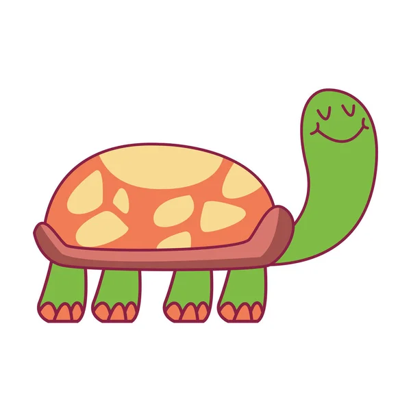 Tartaruga bonito desenho animado — Vetor de Stock