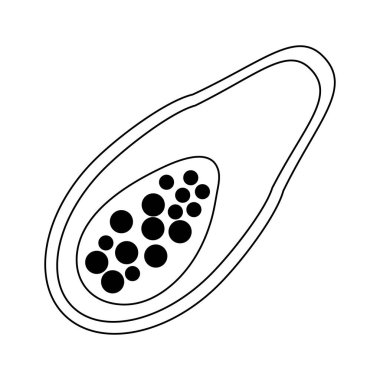 Papaya meyve sağlıklı gıda izole siyah ve beyaz