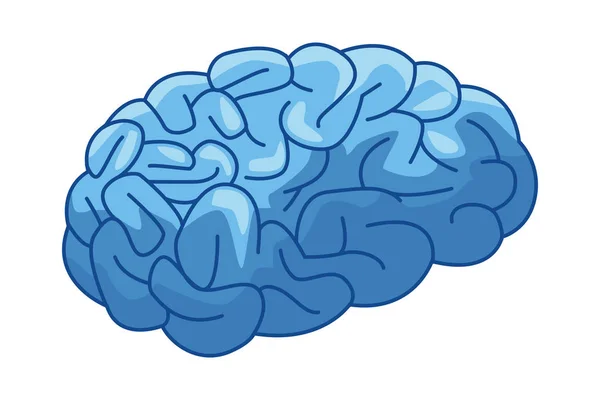 Symbol des menschlichen Gehirns — Stockvektor