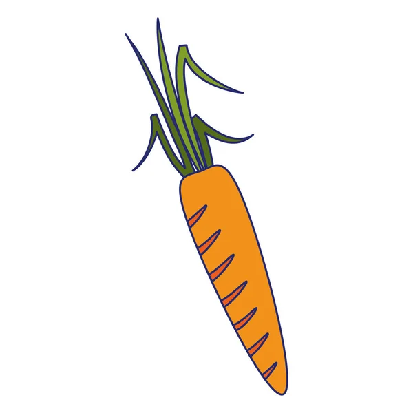 Karotte frische pflanzliche Nahrung blaue Linien — Stockvektor