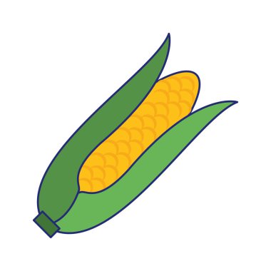 Mısır taze sebze mavi hatları