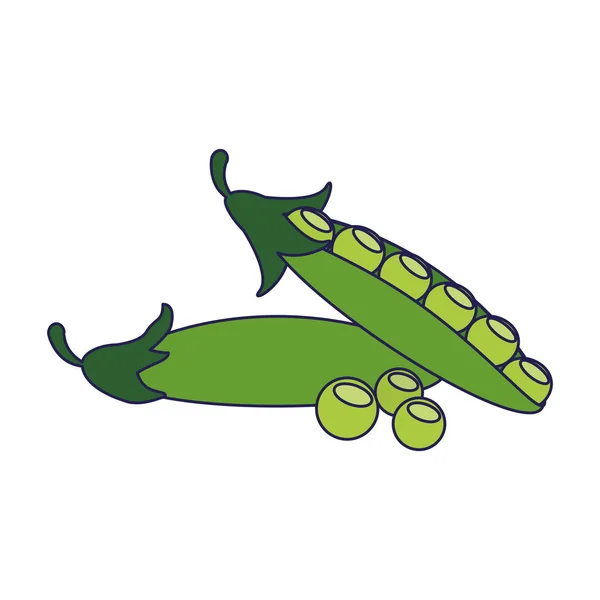 Vegetables peas healthy food blue lines — Stock Vector