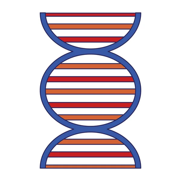 DNA human genetic symbol isolated blue lines — Stock Vector