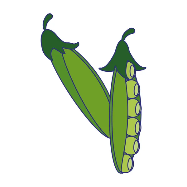 Peas fresh vegetables cartoon blue lines — Stock Vector