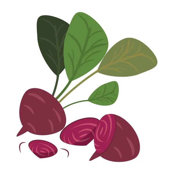 Редис и лук овощи — стоковый вектор