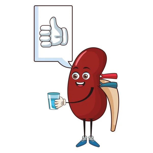 Kidney funny cartoon — Stock Vector