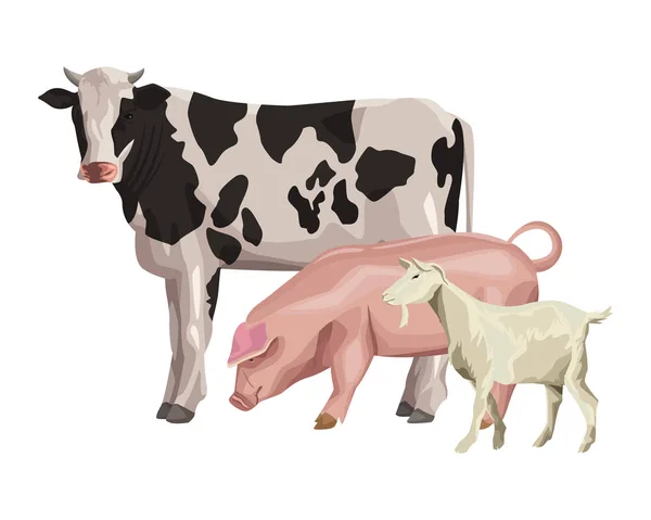 Vache porc et chèvre — Image vectorielle
