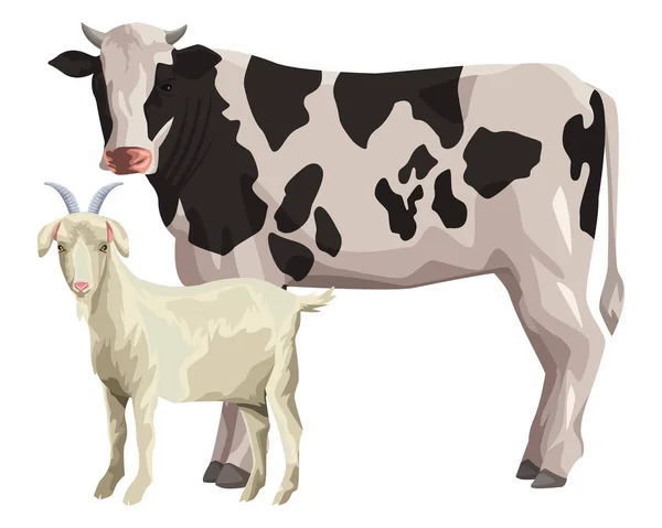 Vaca e cabra —  Vetores de Stock