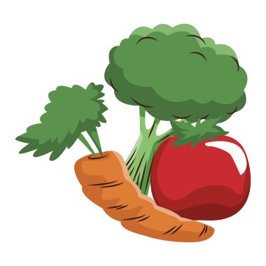 Brokoli domates ve havuç