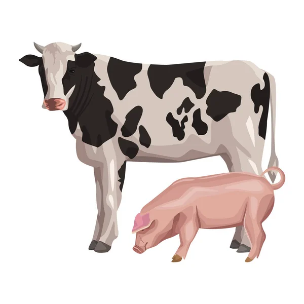 Vaca con cerdo — Vector de stock
