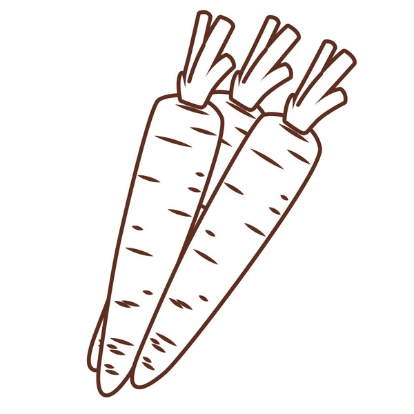 Zanahorias vegetales aislados — Vector de stock