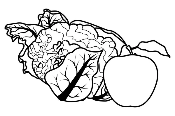 Coliflor y manzana blanco y negro — Archivo Imágenes Vectoriales