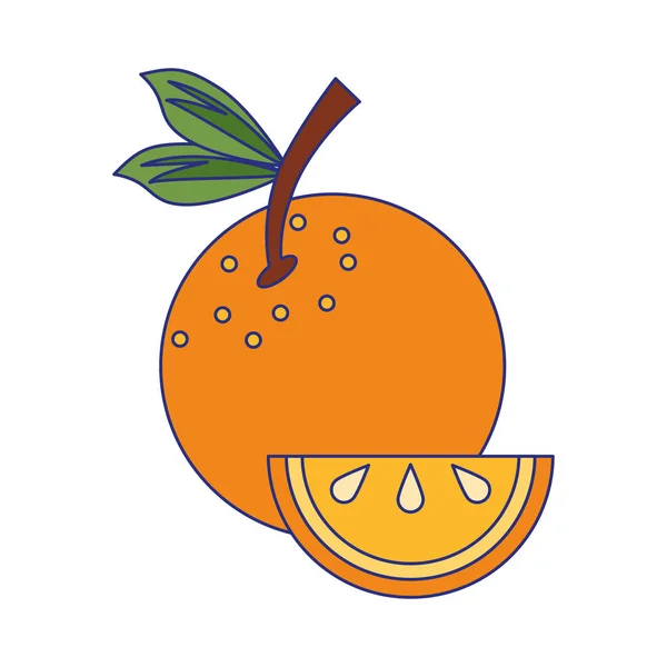 Orange Zitrusfrüchte Karikatur blaue Linien — Stockvektor